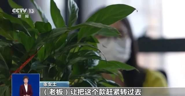 AI换脸诈骗，财务被骗转账186万元！怎么防范？专家教你这三招！