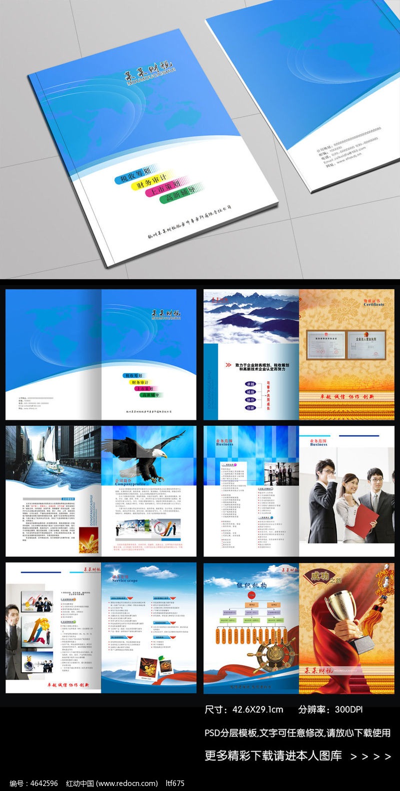 财税企业宣传画册设计