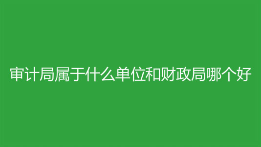 审计局是做什么的属于什么单位？审计局工资多少和财政局哪个好？