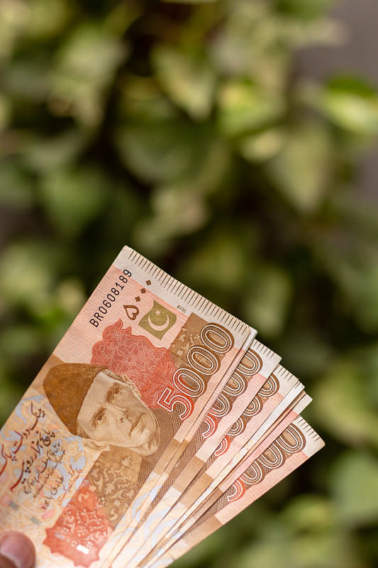 巴基斯坦的货币图片下载