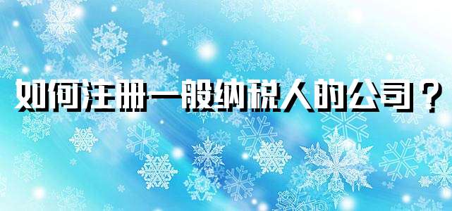 如何注册一般纳税人的公司 ？