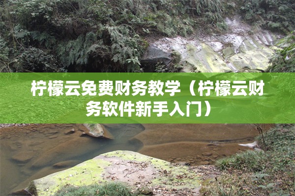 柠檬云免费财务教学(柠檬云财务软件新手入门)