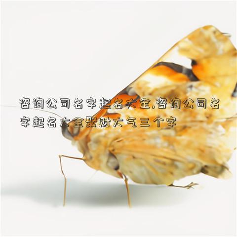 咨询公司名字起名大全,咨询公司名字起名大全聚财大气三个字