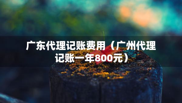 广东代理记账费用（广州代理记账一年800元）