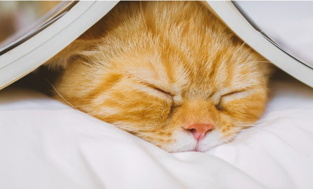 建材商贸公司经营范围(10个范本)