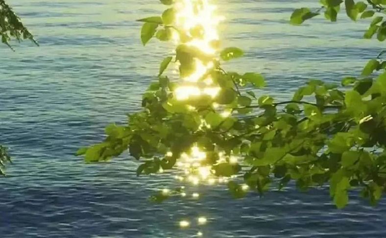 简单好记的教育咨询公司名字有哪些呢?本文为您分享60个简单好记的教育咨询公司名字,一起来看看吧! 简单好记的教育咨询公司名字(分享60个) 启智咨询 优学教育 智达咨询 启行教育 乐学优询 慧途咨询 优启教育 智航咨询 启萌教育 卓学咨询 明途教育 智芽咨询 优效咨询 启思教育 慧学咨询 学优教育 智跃咨询 启路教育 乐智咨询 优途教育 智点咨询 启星教育 慧达咨询 学启教育 智享咨询 启辰教育 优慧咨询 智途教育 启学咨询 乐达教育 慧启咨询 学卓教育 智明咨询 启优教育 慧乐咨询 学慧教育 智卓咨询 启慧教育 优乐咨询 学智教育 智启咨询 启卓教育 慧优咨询 学途教育 智乐咨询 启达教育 优智咨询 学星教育 智途咨询 启点教育 慧卓咨询 学辰教育 智享教育 启路咨询 优卓咨询 学思教育 智明教育 启萌咨询 慧途教育 学优咨询 以上 60 个教育咨询公司名字,均以 “易读、易记、贴合教育核心” 为出发点,摒弃生僻字与复杂组合,融入了 “启智、优学、慧途” 等与教育相关的正向元素,既保证了品牌的辨识度,也传递出助力成长的价值主张。 在实际选用时,可结合机构的核心业务与目标客群(家长、学生、职场人等)进一步适配,让名字与品牌定位深度契合。如想了解更多的起名信息,欢迎收藏+关注名字网。