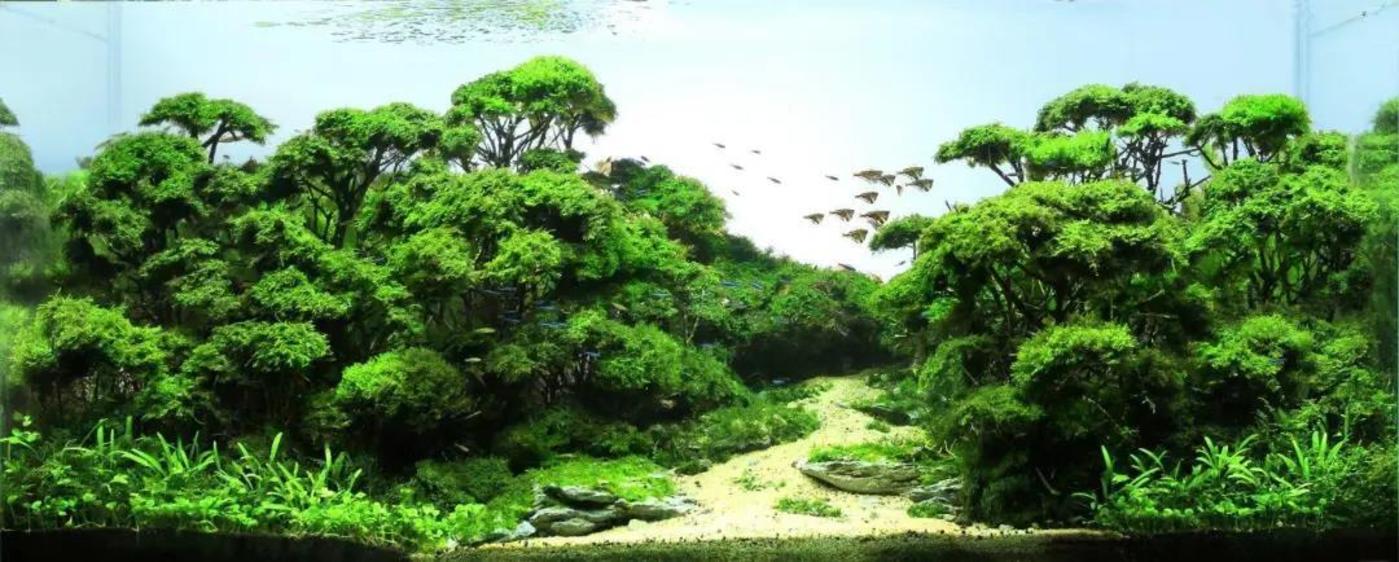 团队成员作品 来源 / 受访者提供