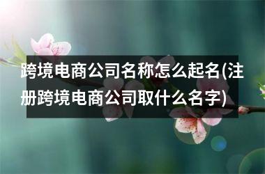 h3/p跨境电商公司名称怎么起名(注册跨境电商公司取什么名字)