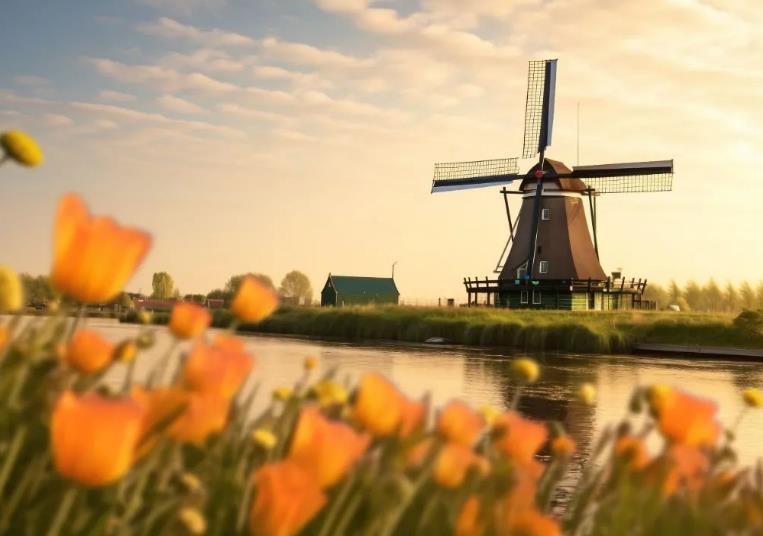 Comprehensive guides