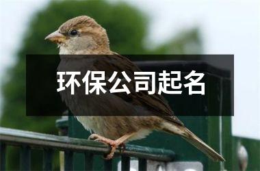 h3/p环保公司起名