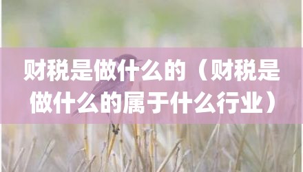 财税是做什么的（财税是做什么的属于什么行业）