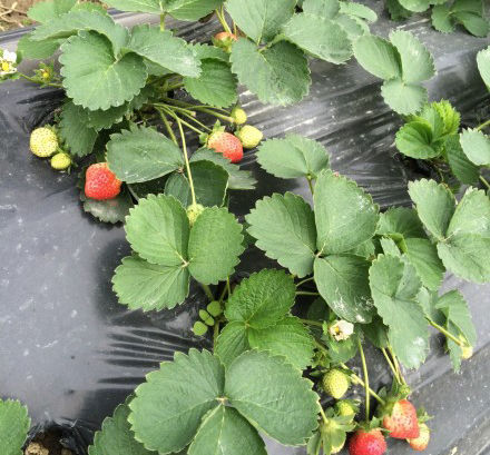 【花花大世界】